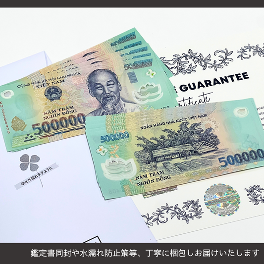 12%OFF 50万ドン 100枚★即日発送・選べる流通紙幣orピン札保証・鑑定書 1,280円相当×購入枚数の特典付き|ベトナムドン紙幣|500,000ドン ベトナム50万ドン|本物紙幣保証【ラフテル公式】/B-7